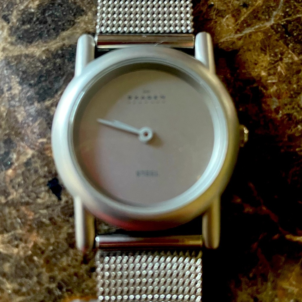 Skagen Women’s Stainless Steel mesh bracelet watch